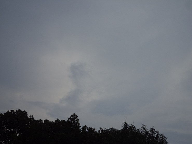 dsc01055